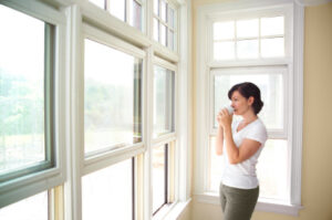 Double Hung Windows Fishers IN